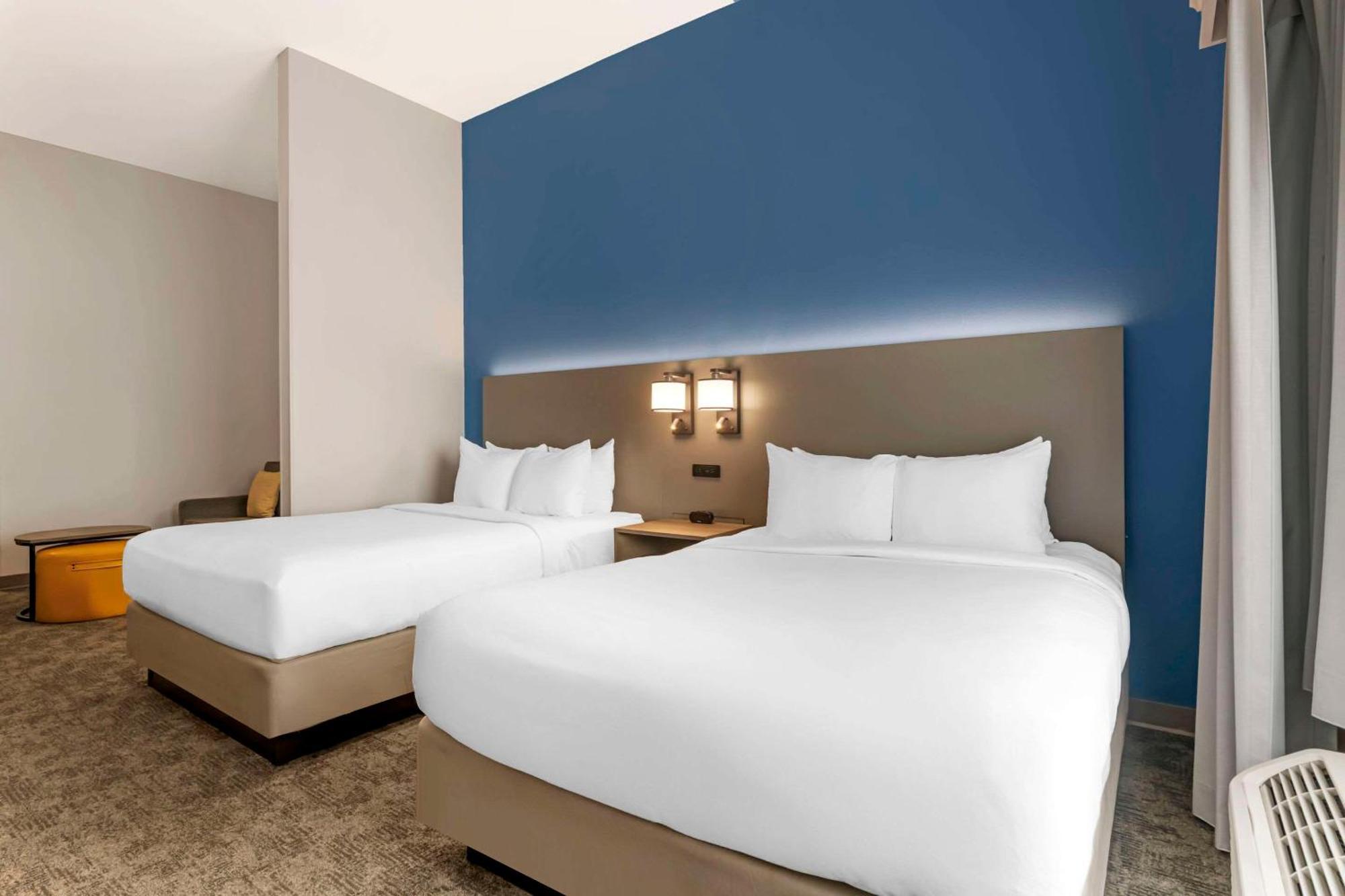 Comfort Suites Sarasota-Siesta Key Vamo Eksteriør bilde