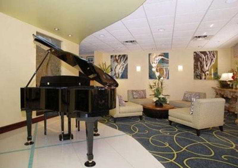 Comfort Suites Sarasota-Siesta Key Vamo Eksteriør bilde